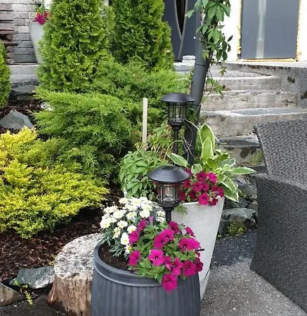 3 Apartment Dalen
